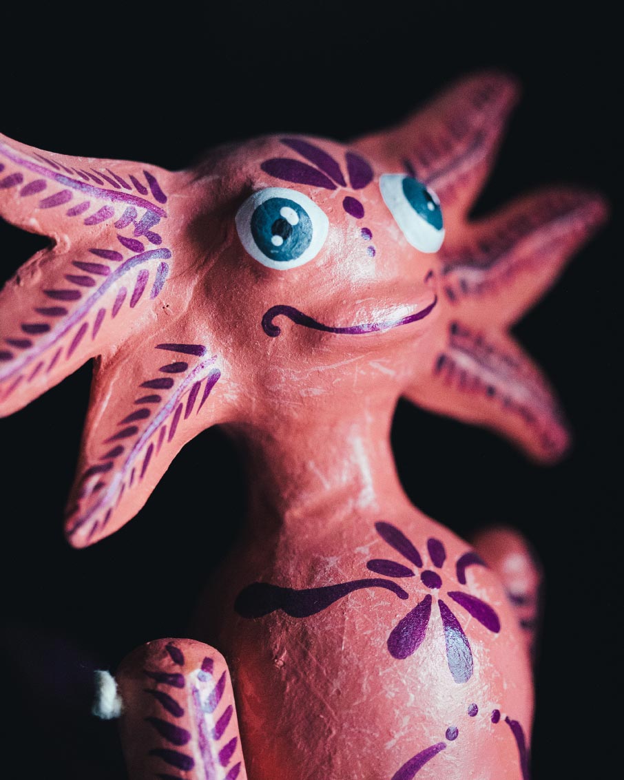 Axolotl-02