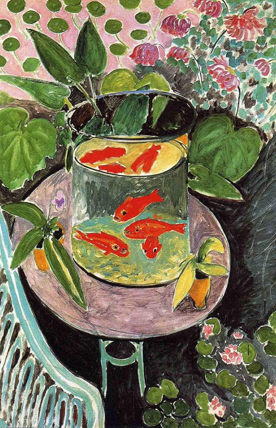 Edicion Matisse